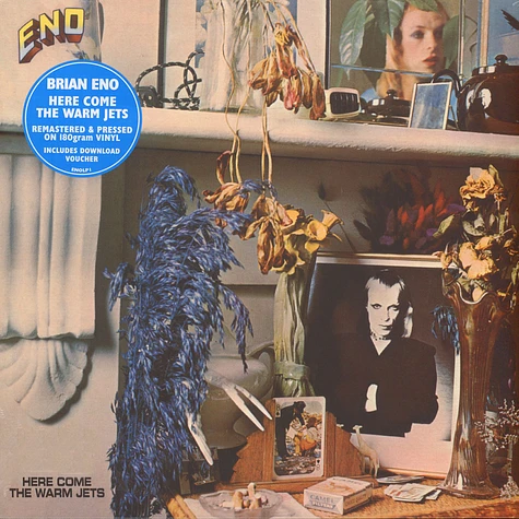 Brian Eno - Here Come The Warm Jets