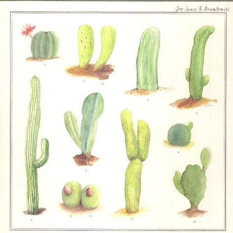 Joe Space & Drumtomski - Nudus Cactus