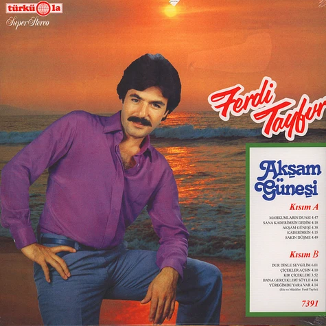 Ferdi Tayfur - Aksam Günesi