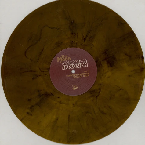 Cambrian Explosion - The Moon Orange Vinyl Edition