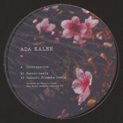 Ada Kaleh - Introspectie Faster & Takashi Himeoka Remixes