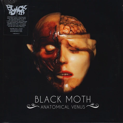 Black Moth - Anatomical Venus