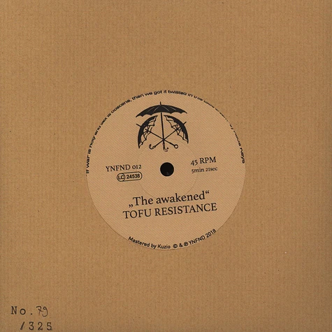 Daniel Holmes & Tofu Resistence - Madonna A Dite (II) / The Awakened