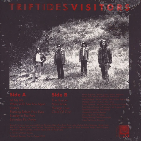 Triptides - Visitors