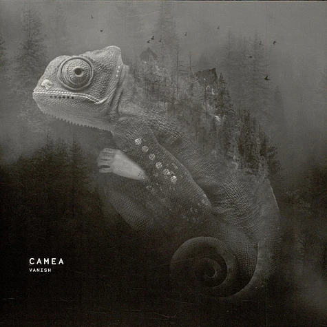 Camea - Vanish