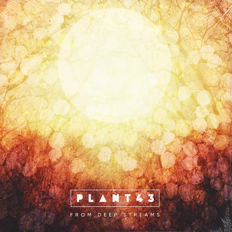 Plant43 - From Deep Streams
