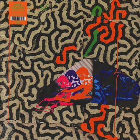 Animal Collective - Tangerine Reef Black Vinyl Edition