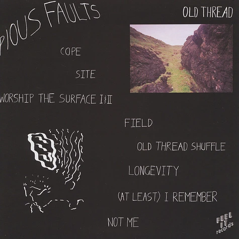 Pious Faults - Old Thread