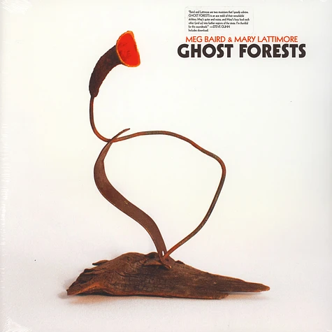 Meg Baird & Mary Lattimore - Ghost Forests