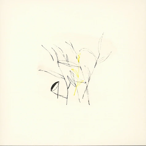 Benoit Pioulard - Slow Spark, Soft Spoke