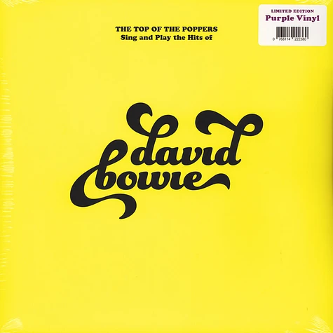 The Top Of The Poppers - Sing And Play The Hits Of David Bowie