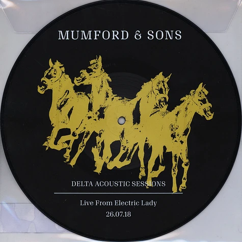 Mumford & Sons - Delta Acoustic Sessions Picture Disc Record Store Day 2019 Edition