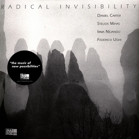 Daniel Carter, Stelios Mihas, Irma Nejando & Federico Ughi - Radical Invisibility