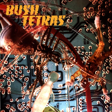 Bush Tetras - There Is A Hum / Seven Years