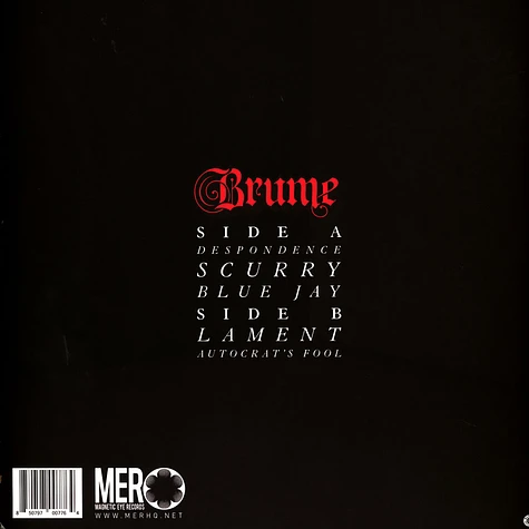 Brume - Rabbits