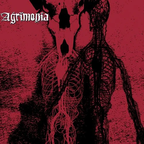 Agrimonia - Agrimonia