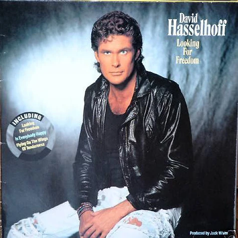 David Hasselhoff - Looking For Freedom
