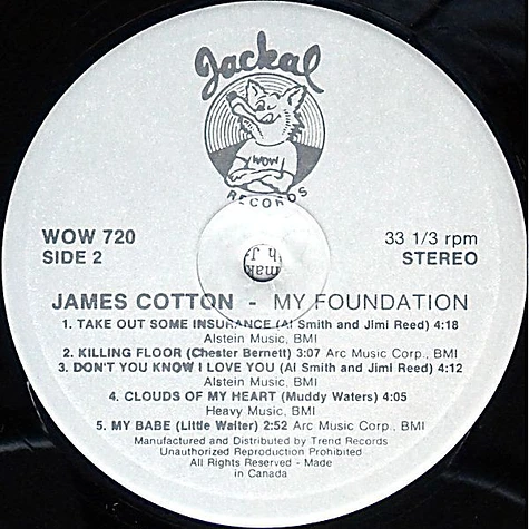 James Cotton - My Foundation