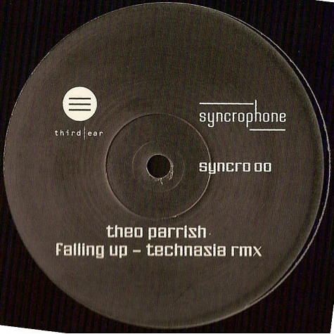 Theo Parrish - Falling Up (Technasia Rmx)