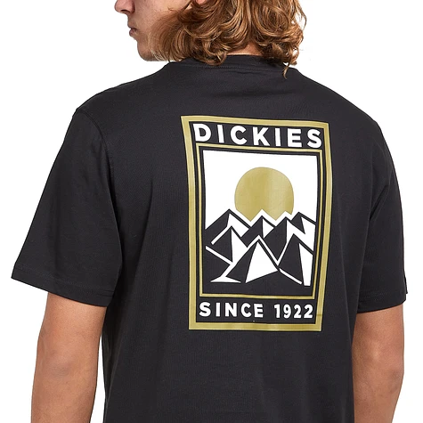 Dickies - Pacific Tee SS