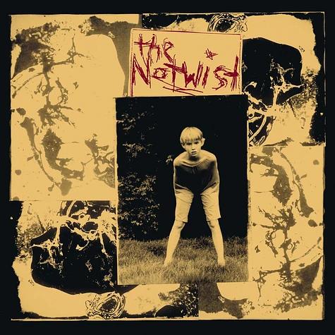 Notwist, The - The Notwist 30 Years Special Black & Gold Vinyl Edition