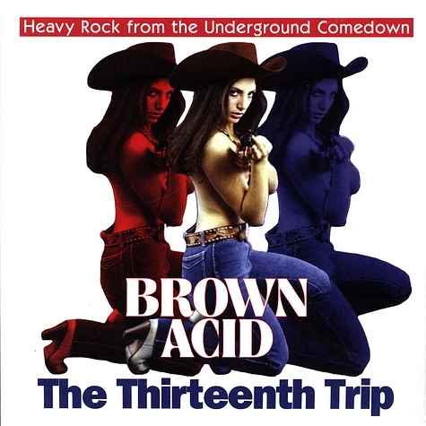 V.A. - Brown Acid - The Thirteenth Trip