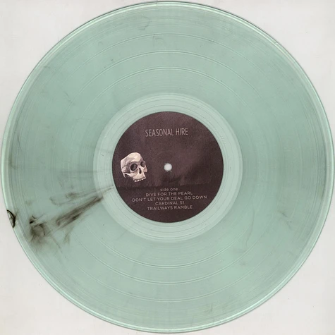 Steve Gunn & Black Tiwg - Seasonal Hire Clear Vinyl Edition