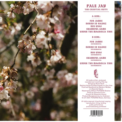Pale Jay - The Celestial Suite Black Vinyl Edition