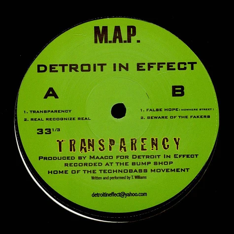 Detroit In Effect - Transparency