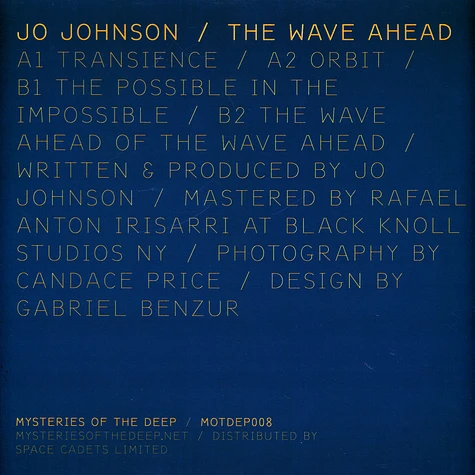 Jo Johnson - The Wave Ahead