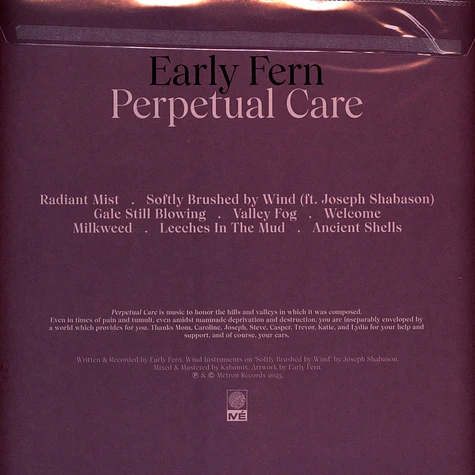 Early Fern - Perpetual Care Duck Egg Green Vinyl