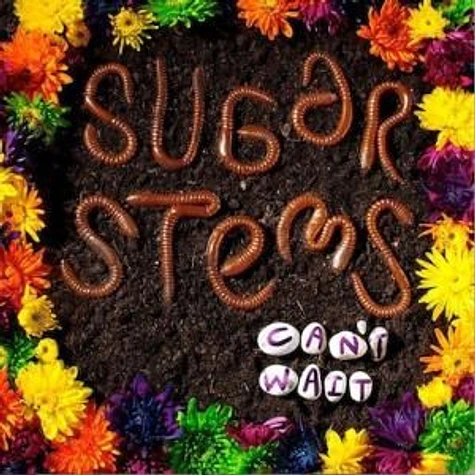 The Sugar Stems - Can't Wait