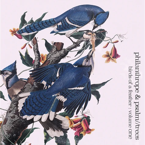 Philanthrope & Psalm Trees - Birds Of A Feather Volume 1