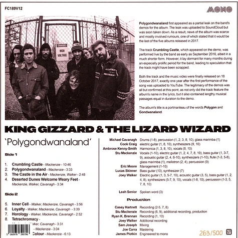 King Gizzard & The Lizard Wizard - Polygonwanaland Mono Edition