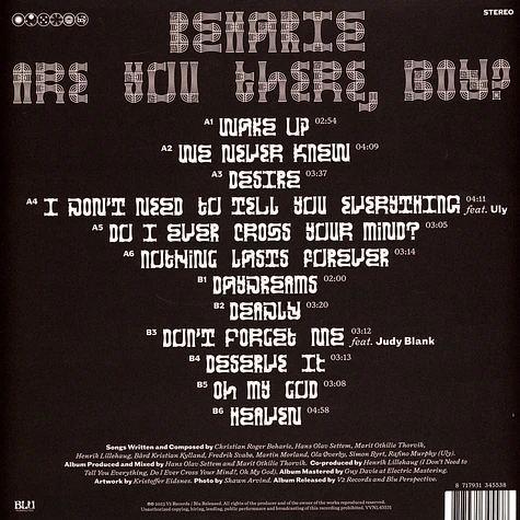 Beharie - Are You There, Boy ?