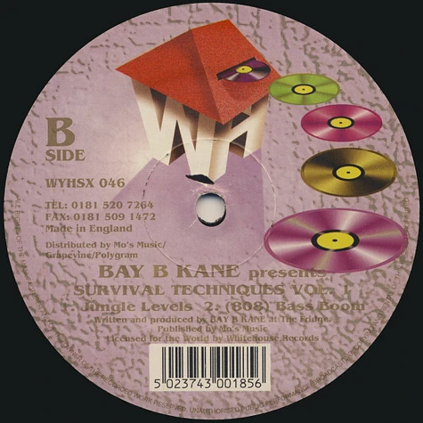 Bay B Kane - Survival Techniques Vol. 1