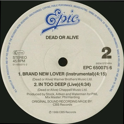 Dead Or Alive - Brand New Lover