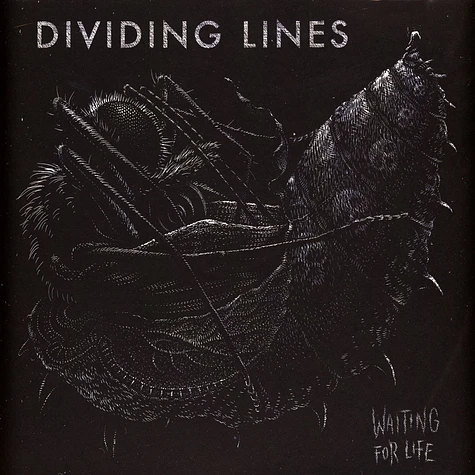 Dividing Lines - Waiting For Life