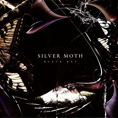 Silver Moth - Black Bay