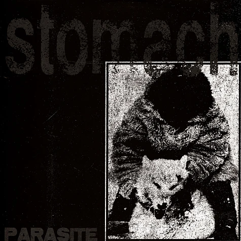 Stomach - Parasite