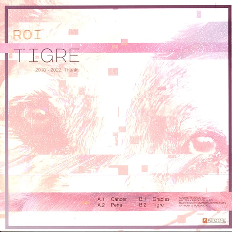 Roi - Tigre