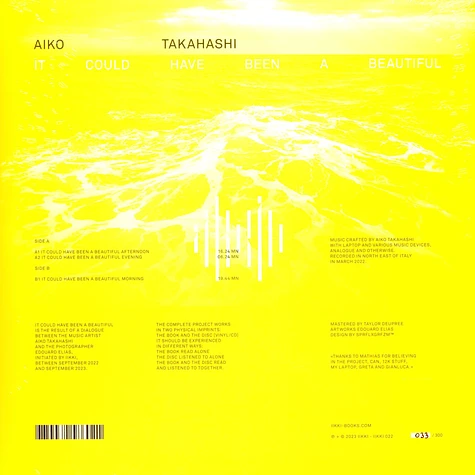 Aiko Takahashi - It Could Have Been A Beautiful