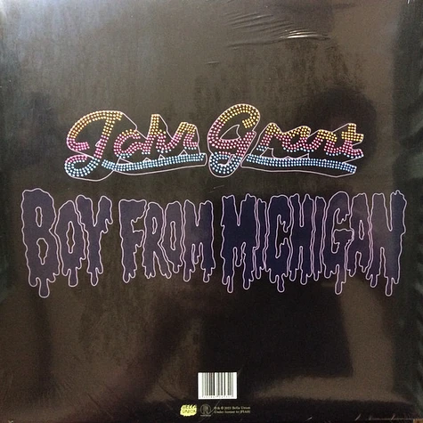 John Grant - Boy From Michigan