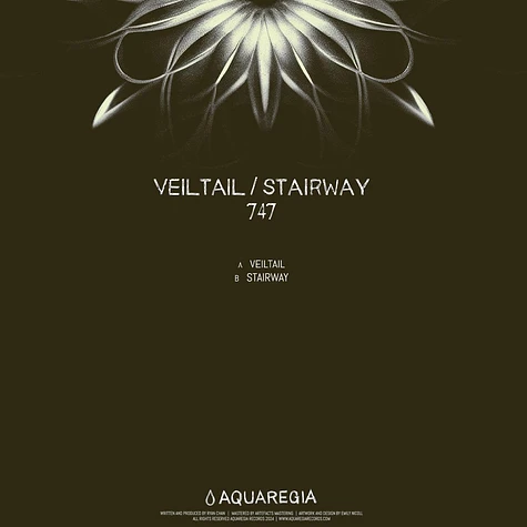 747 - Veiltail/Stairway