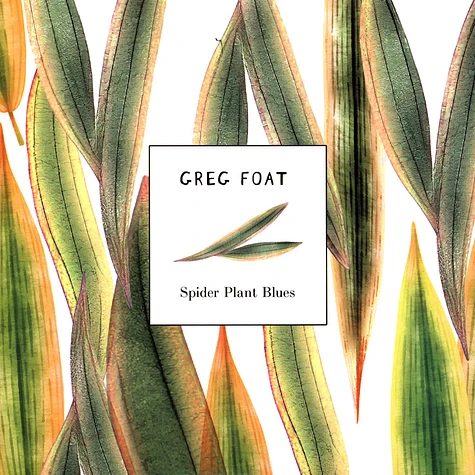 Greg Foat - Spider Plant Blues