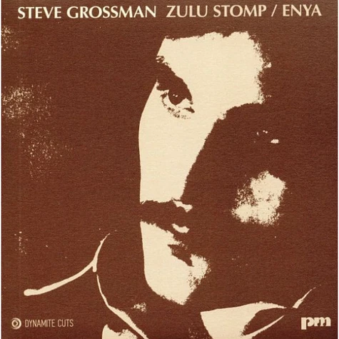 Steve Grossman - Zulu Stomp / Enya