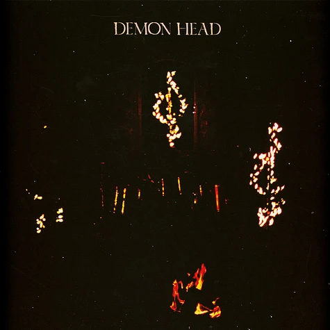 Demon Head - Through Holes Shine The Stars Transparent Violet Vinyl Edition