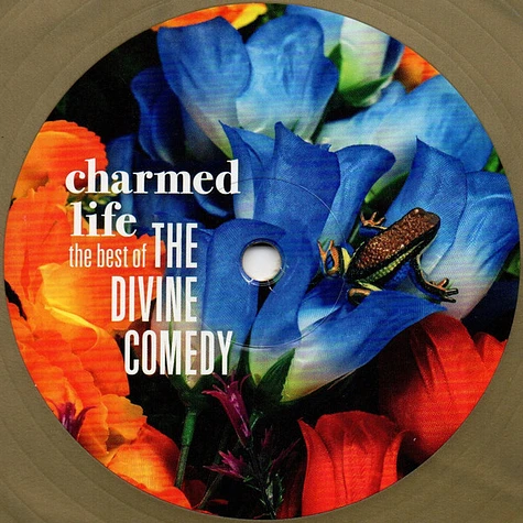 The Divine Comedy - Charmed Life (The Best Of The Divine Comedy)