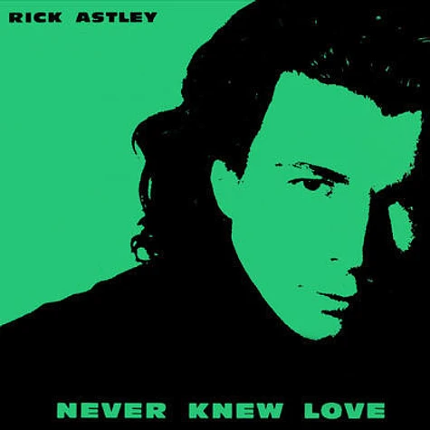 Rick Astley - Never Knew Love