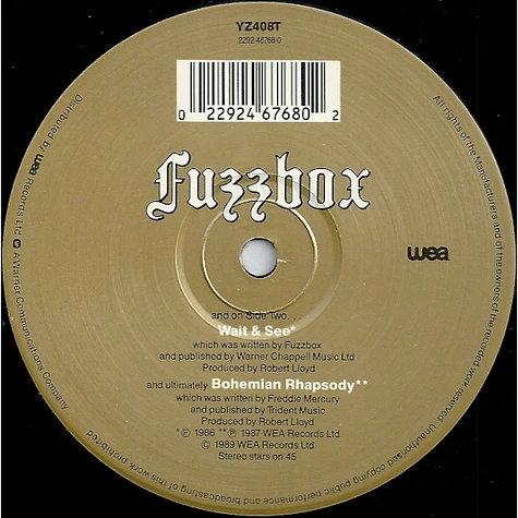 We've Got A Fuzzbox And We're Gonna Use It - Self!